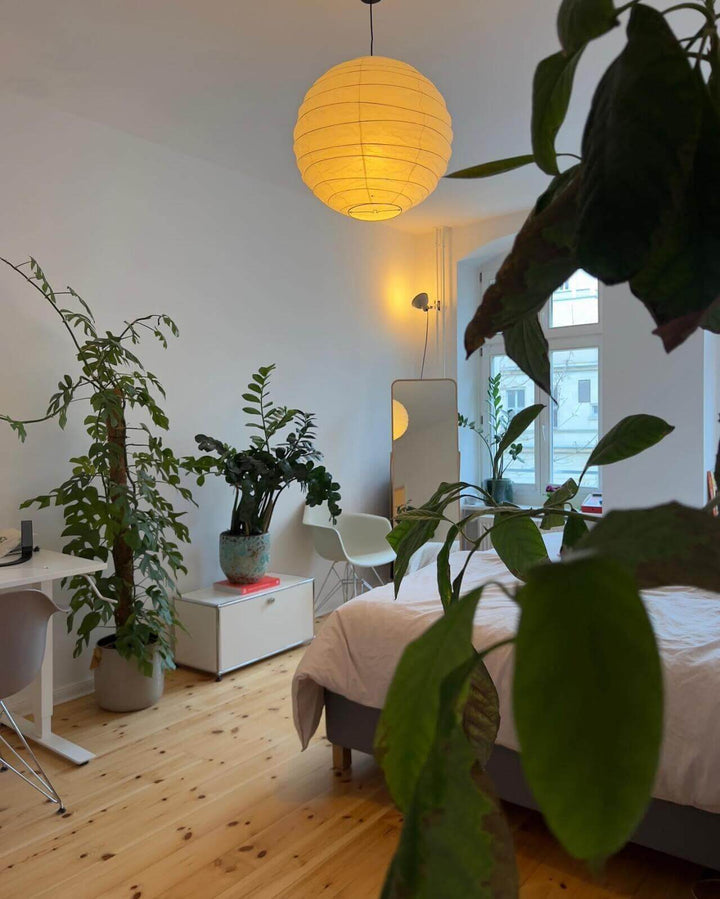 Warm paper lantern pendant light in a plant-filled bedroom with bed, desk, and window.
