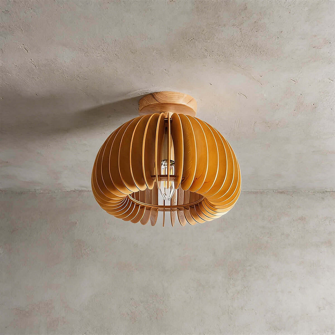 Toravi Ceiling Light