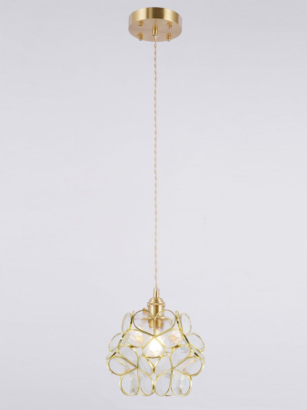 Full view of a transparent glass petal pendant light with brass canopy and adjustable cord