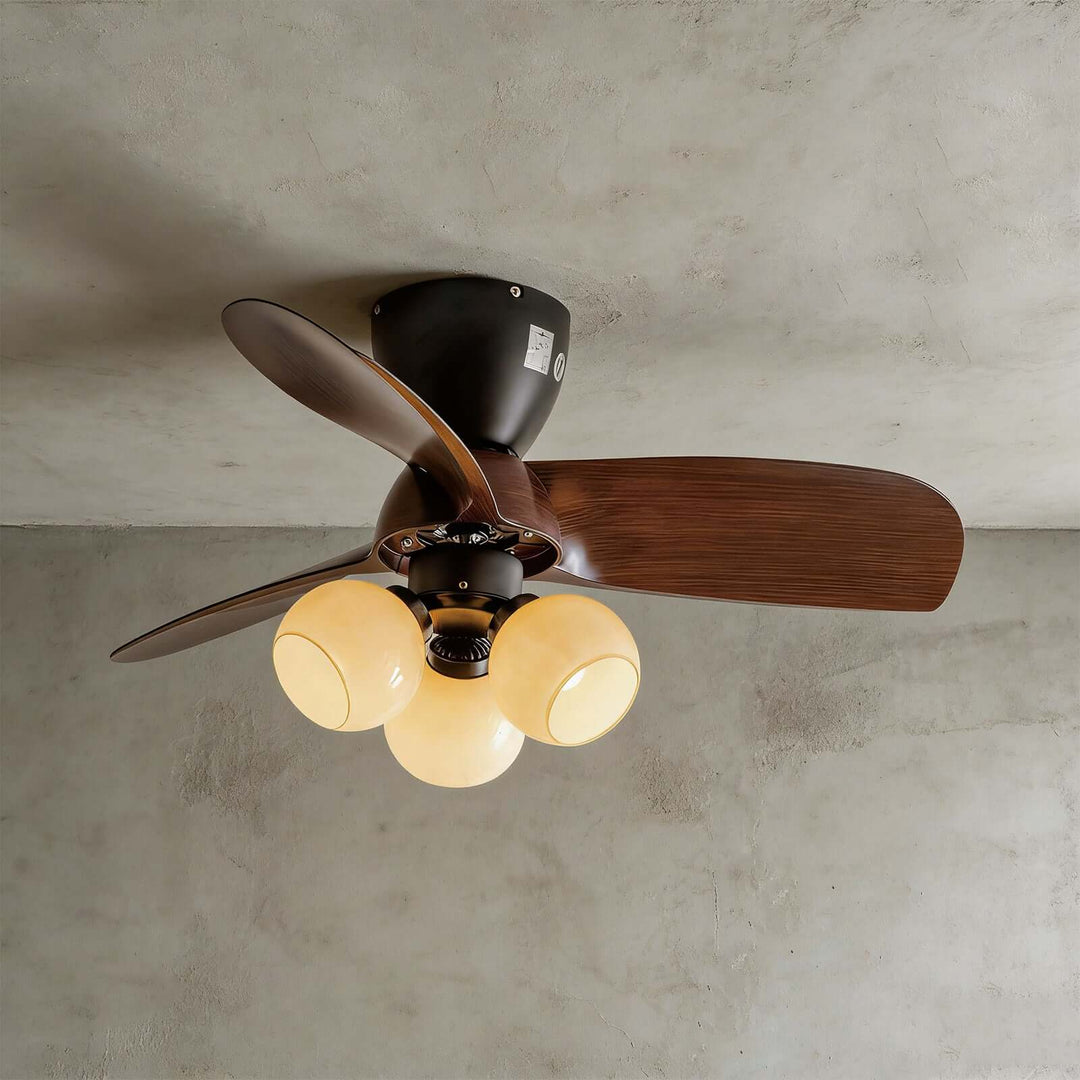 Trunza Ceiling Fan Light - Vintage Glass Living Room Light