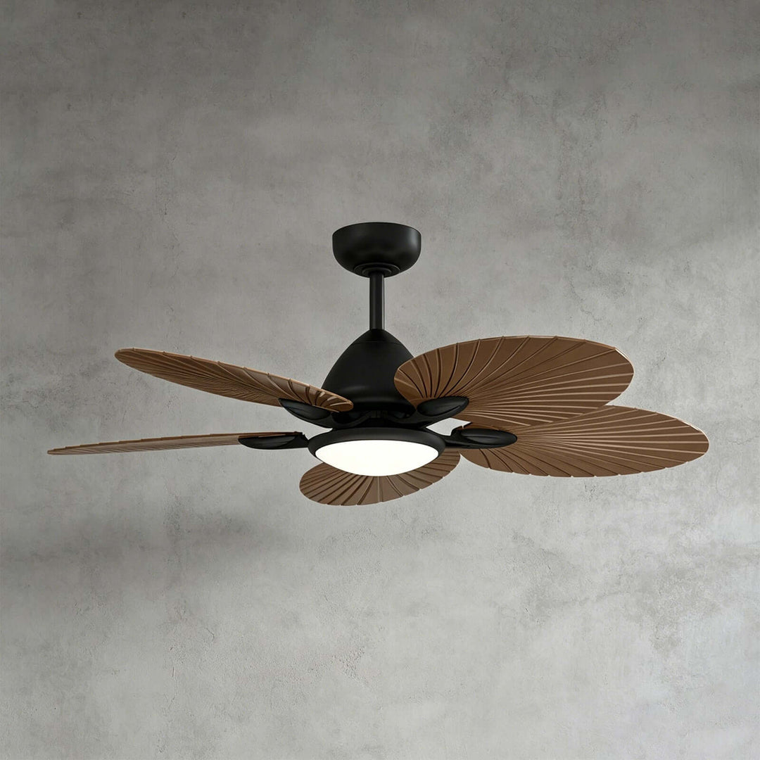 Wexlo Ceiling Fan Light - Modern Ceiling Fans & ABS Light