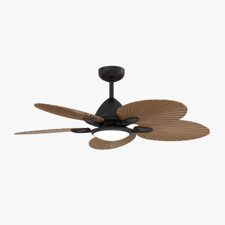 Wexlo Ceiling Fan Light - Modern Ceiling Fans & ABS Light